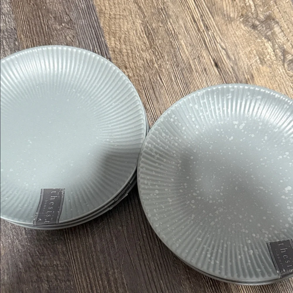 6 Elegant Gray salad Plate Set